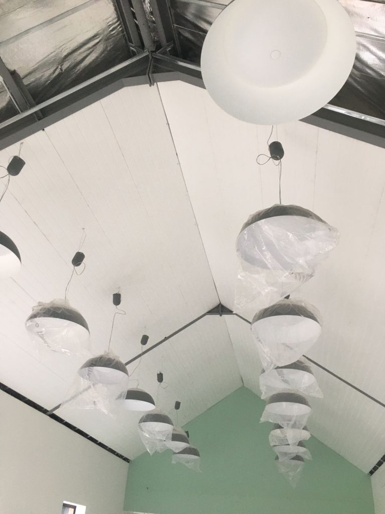 IMG (5)